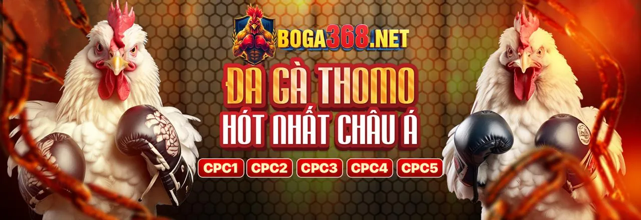 Hoàn Trả Tiền Cược Hấp Dẫn