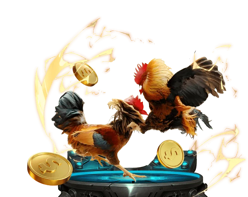 Hướng dẫn chọn nền tảng tài xỉu